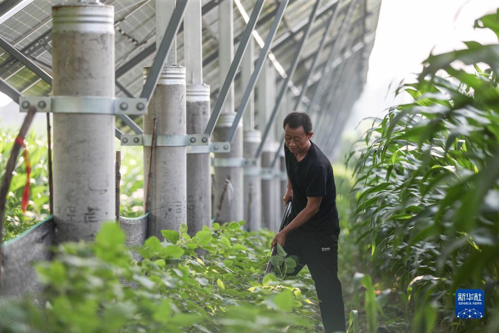 银河开户行查询